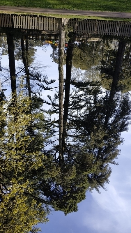 00010.IMG 20210325 154323
