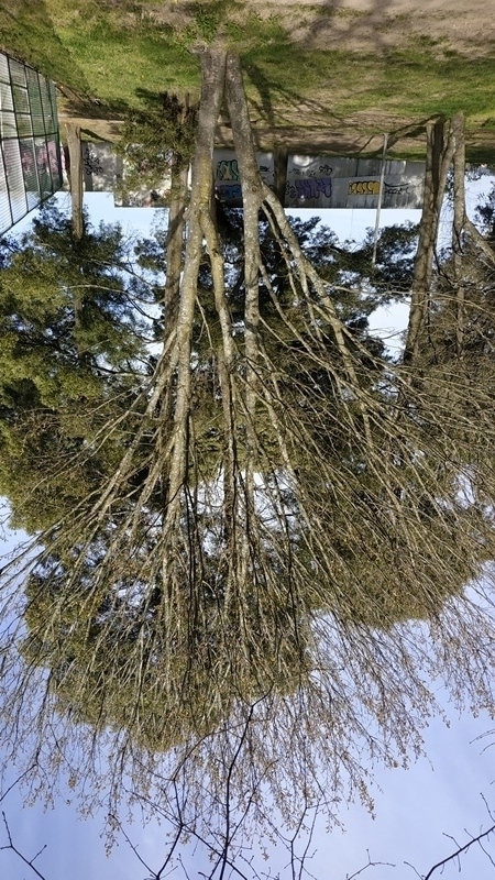 00020.IMG 20210325 163858