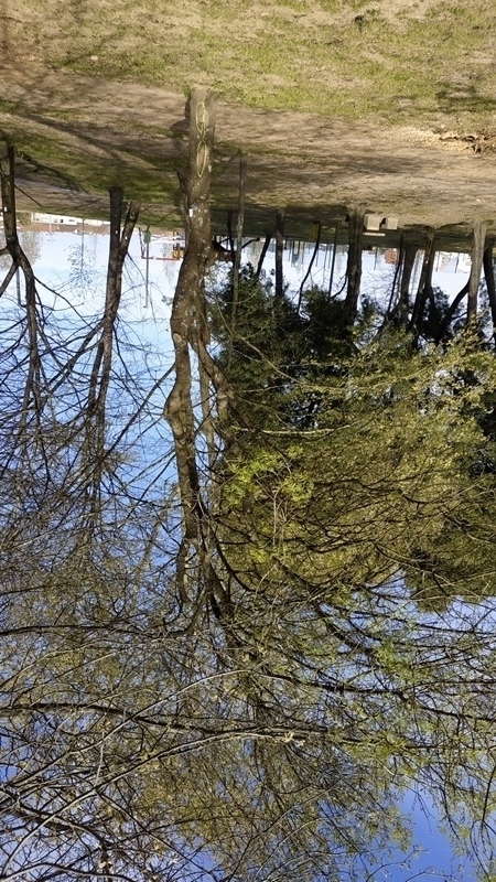 00024.IMG 20210325 160141