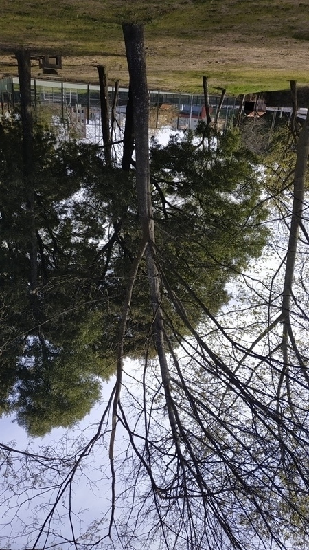 00026.IMG 20210325 161427