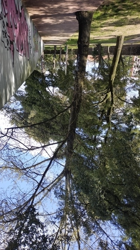 00036.IMG 20210326 150245