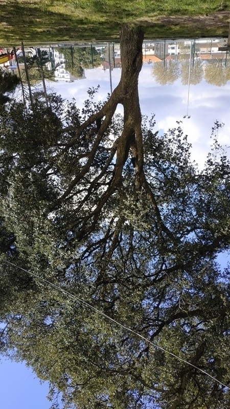 00039.IMG 20210326 145929