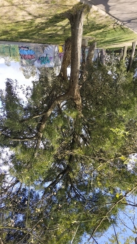 00040jpg