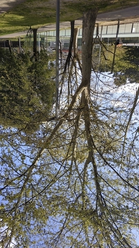 00042.IMG 20210326 145351