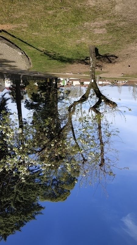 00043.IMG 20210325 154950