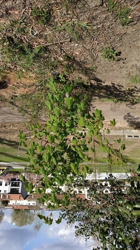 00047.IMG 20210326 152628