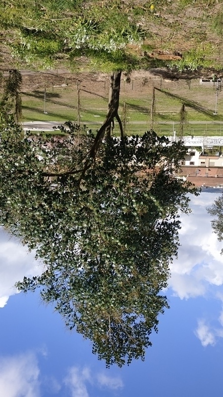 00048.IMG 20210326 152506