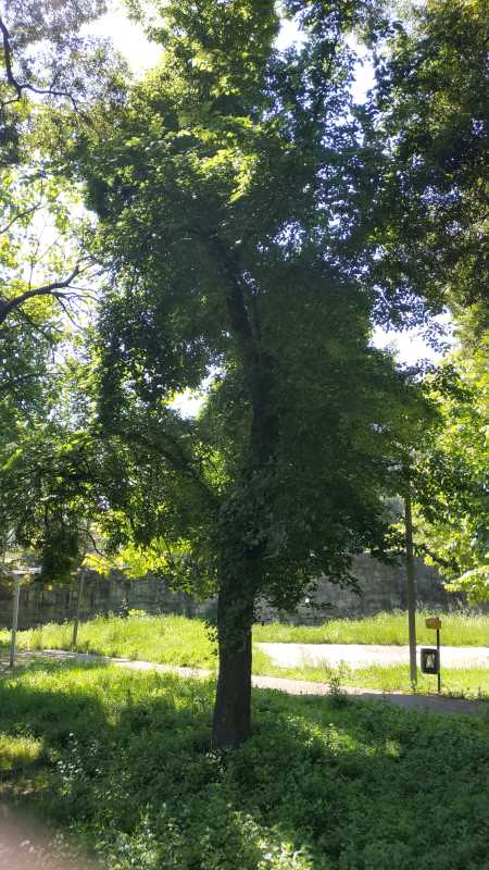 00057.IMG 155610