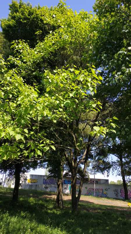 00059.IMG 155920