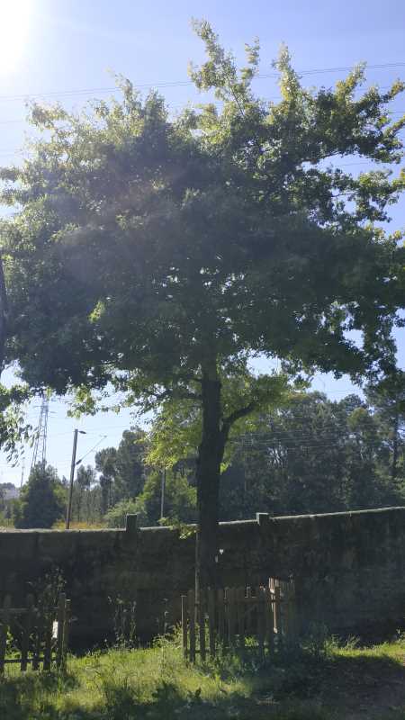 00062.IMG 160509
