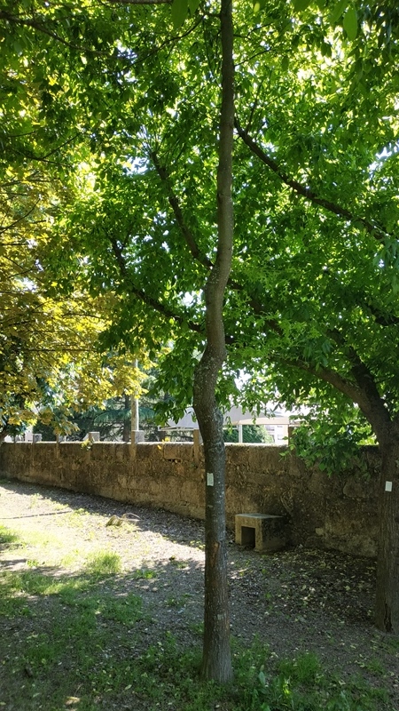 00069.IMG 20210430 161603