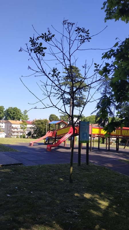 00096.IMG 20210507 163005