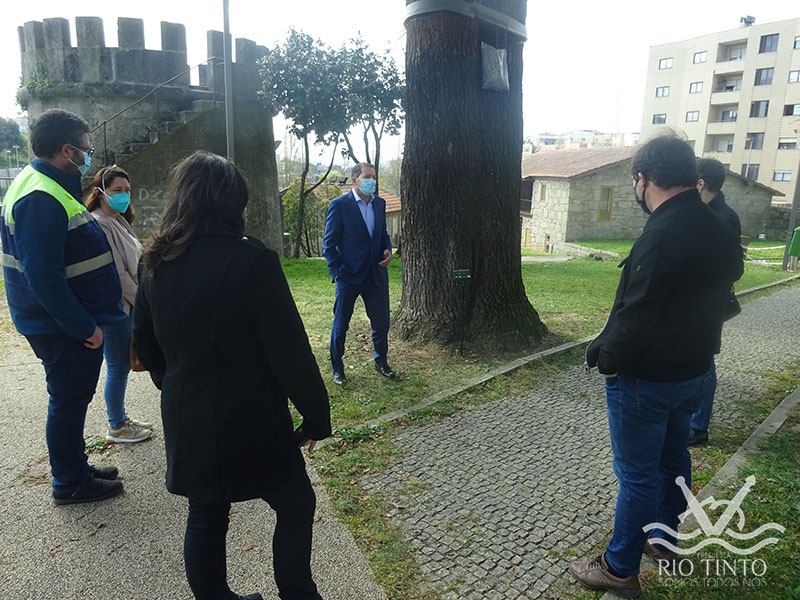 2021 03 24 Quinta das Freiras Património Arbóreo Árvore Nº. 1 40