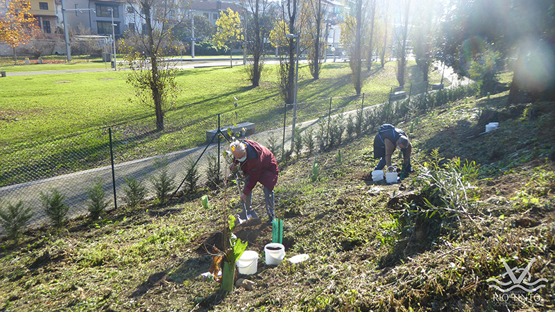 2021 11 23 Dia da Floresta Autóctone 46
