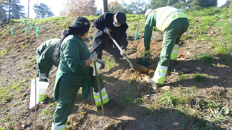 2021 11 23 Dia da Floresta Autóctone 58