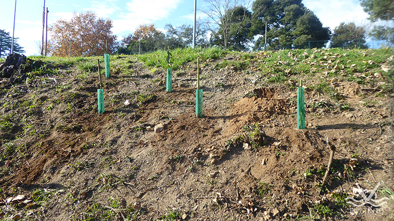 2021 11 23 Dia da Floresta Autóctone 59