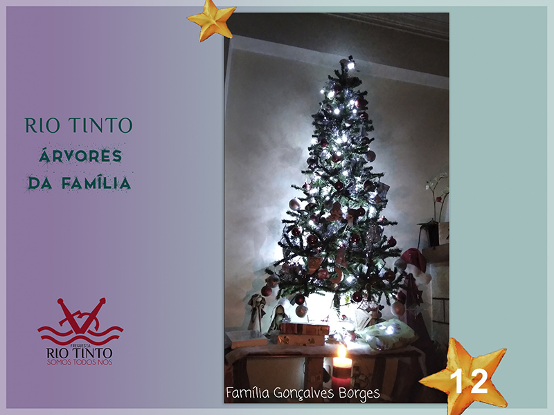 2021 12 20 Árvores da Família 12