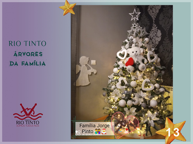 2021 12 20 Árvores da Família 13