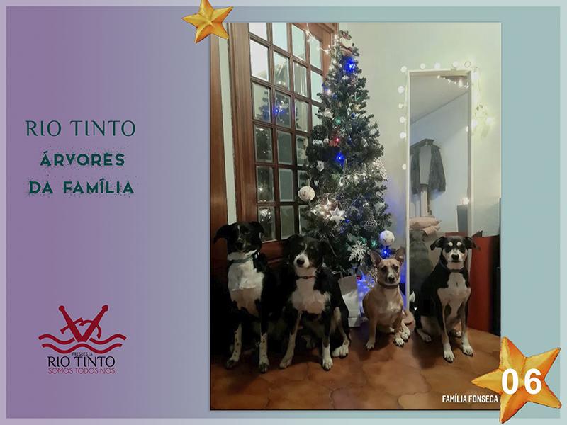 2021 12 20 Árvores da Família 6
